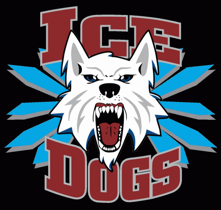 Fairbanks Ice Dogs 2003 04-Pres Alternate Logo vinyl decal